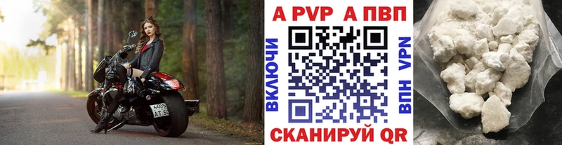 Альфа ПВП СК  Хасавюрт 